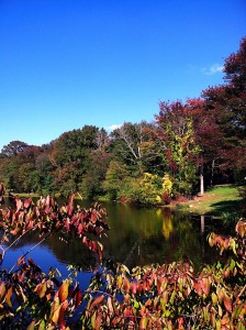 Idyllic-Pond-with-Fall-Foli