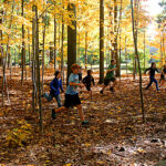 woods-mob