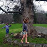 sycamore_walk_lily_emmy