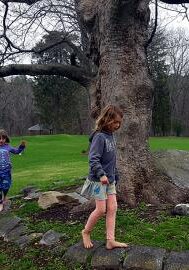 sycamore_walk_lily_emmy
