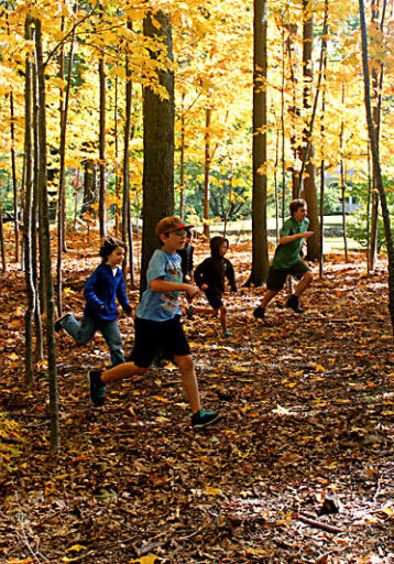 woods-mob